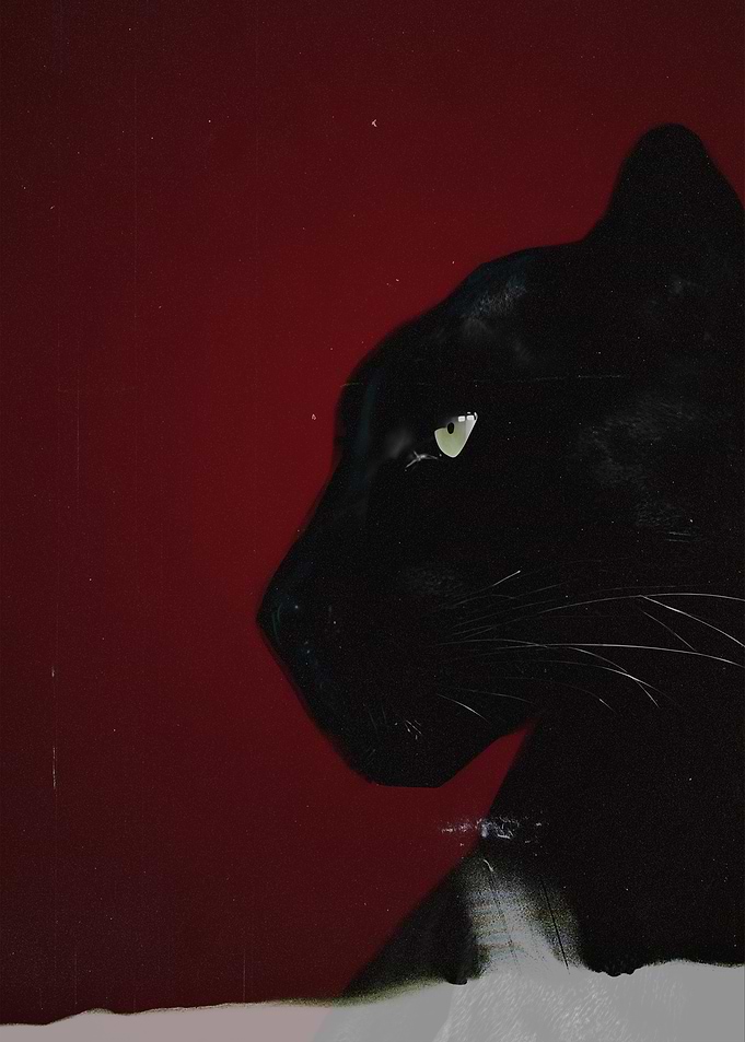 Black Panther