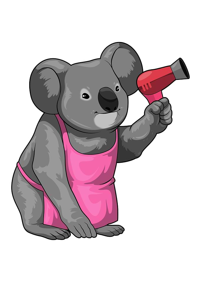 Koala Hairdresser Hairdryer