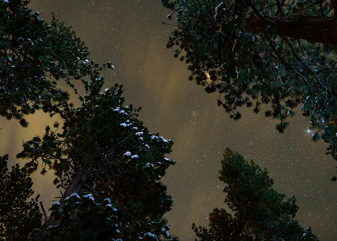 Snowy Night Sky