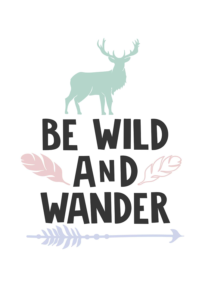 Be Wild and Wander