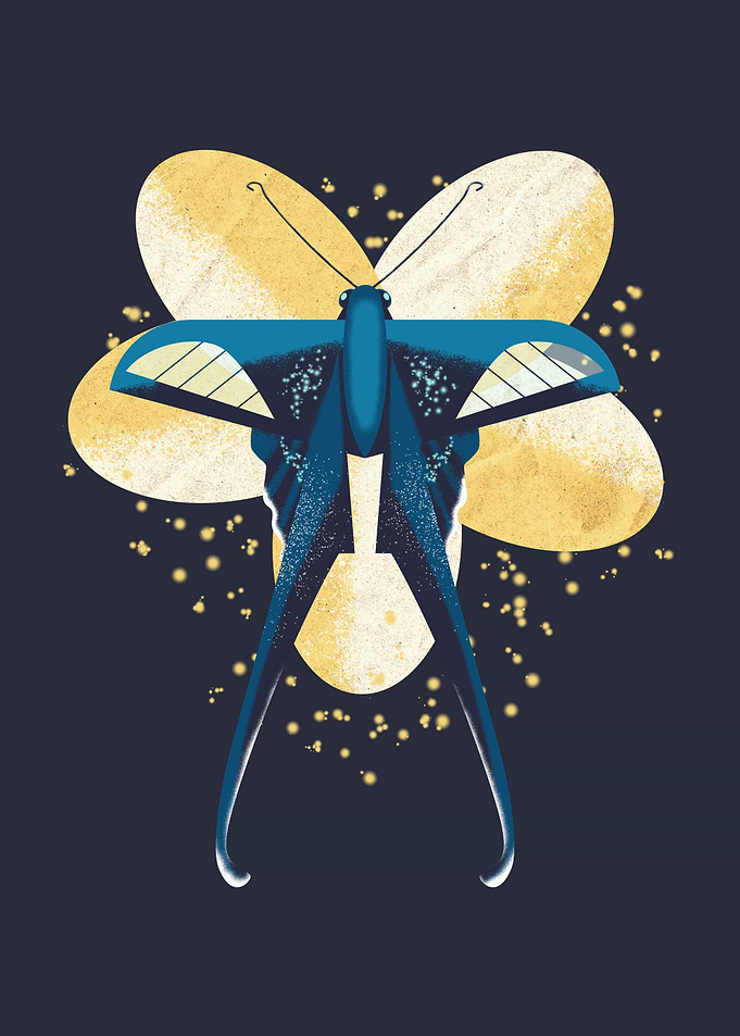 Magical Dragontail Butterfly