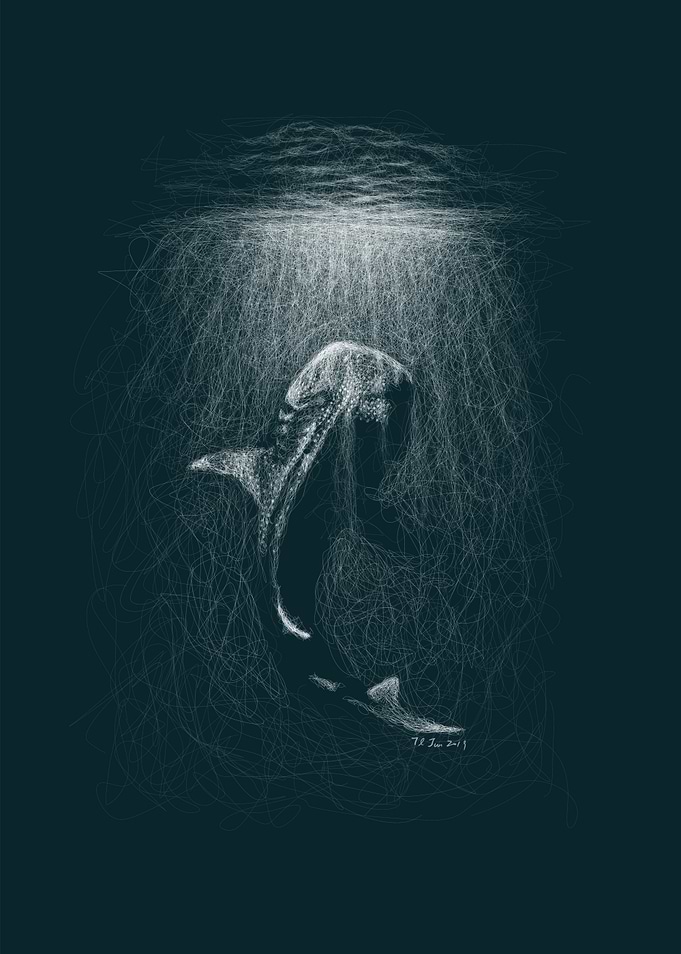 Whale Shark Line Art