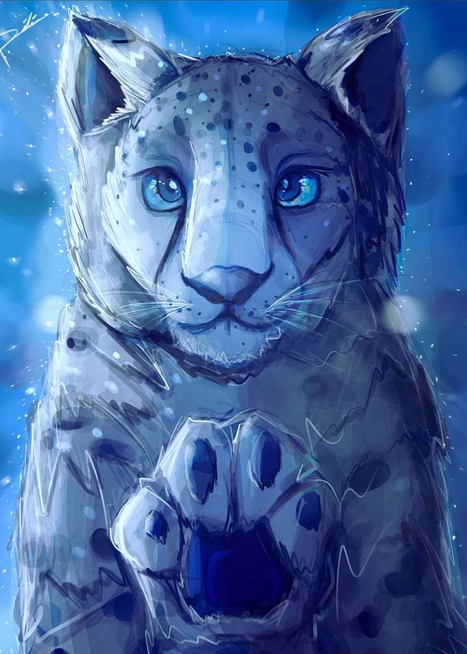 Snow Leopard Portrait