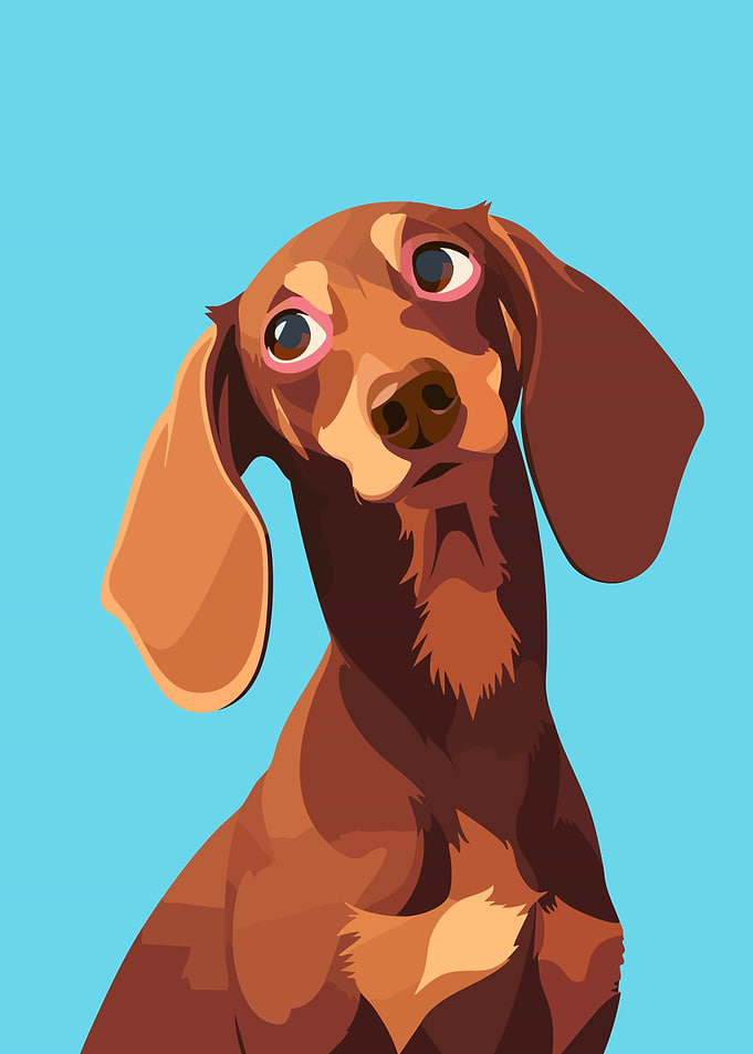 Cute Awkward Dachshund Portrait Minimalist Art Illustration