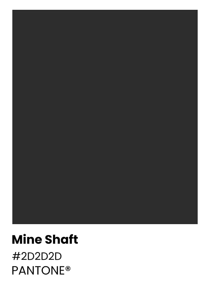 Pantone Color: Mine Shaft