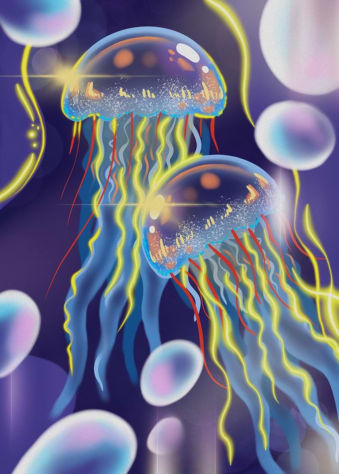 Neon Jellyfish Art