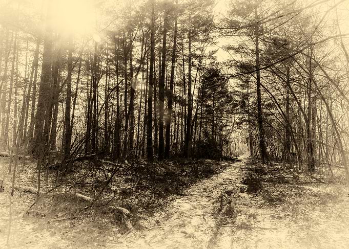 The Path