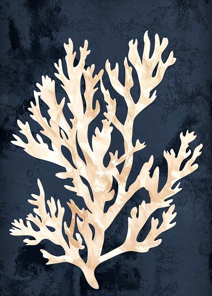 Seaweed on Blue