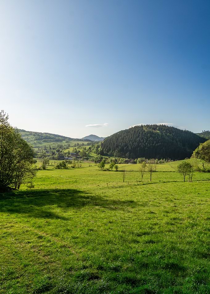 Green Valley Landscape