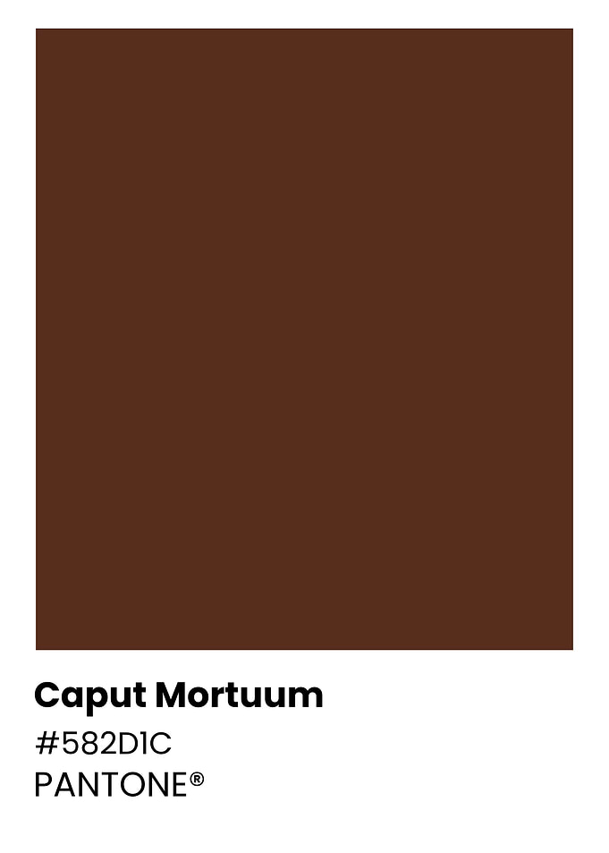 Pantone Color Chart - Caput Mortuum