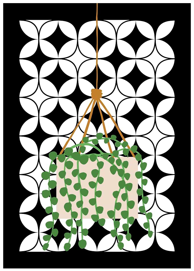 Hanging Plant with Geometric Pattern
