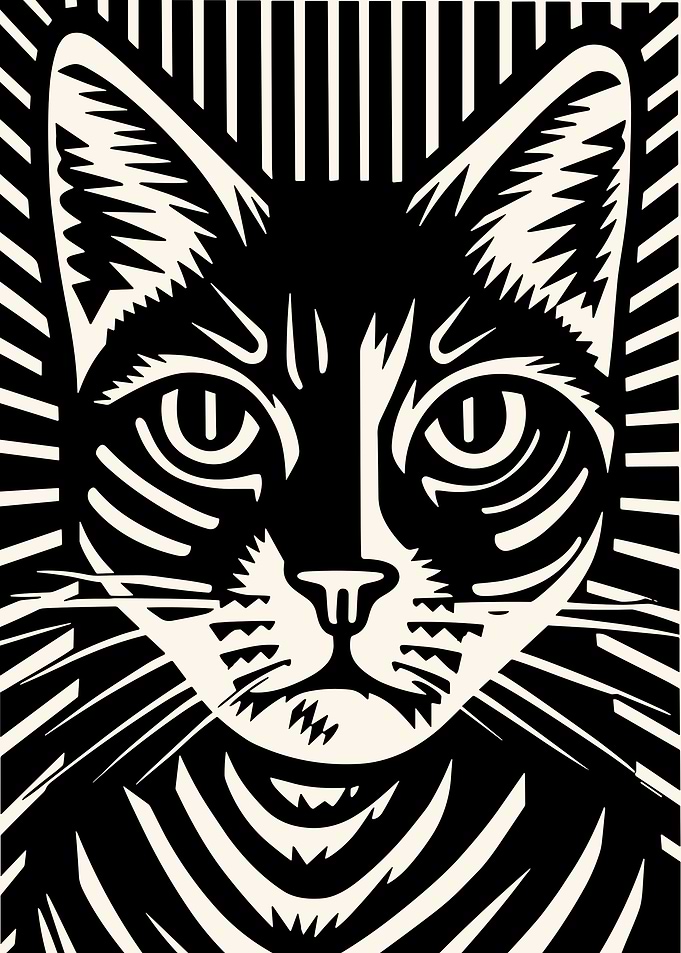Black and White Cat Portrait