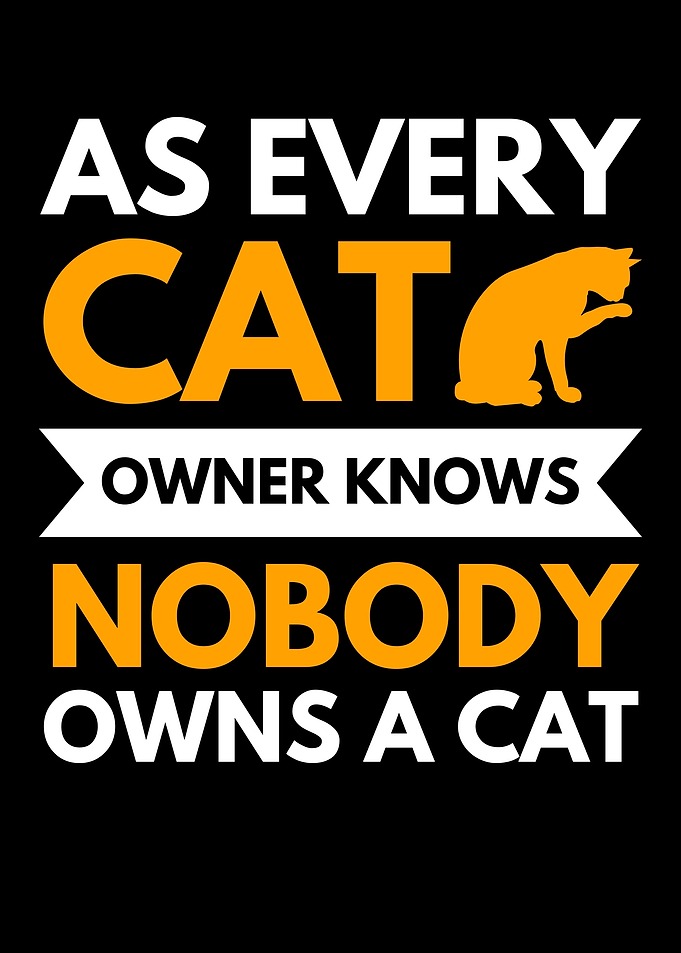 Funny Cat Owner Quote Cat