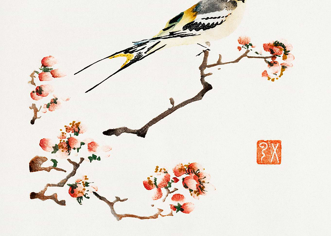 Bird on Branch with Blossoms