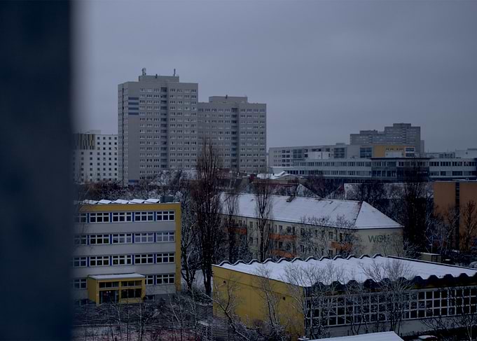 Snowy & Grey Lichtenberg