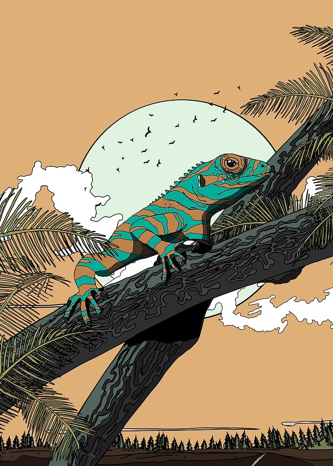 Lizard on Branch