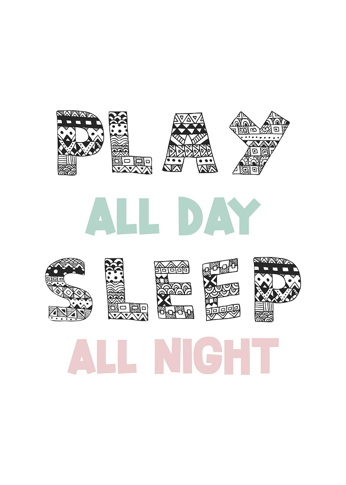 Play All Day Sleep All Night