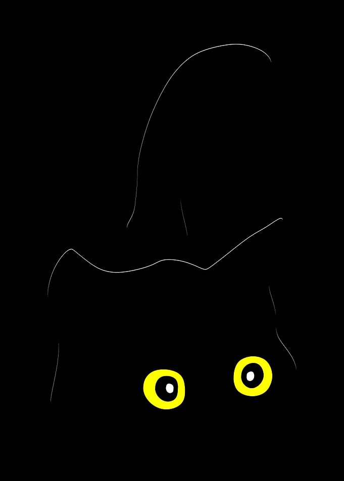 Black Cat with Yellow Eyes