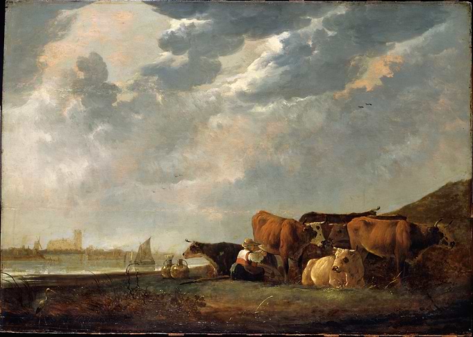 Cows by a River