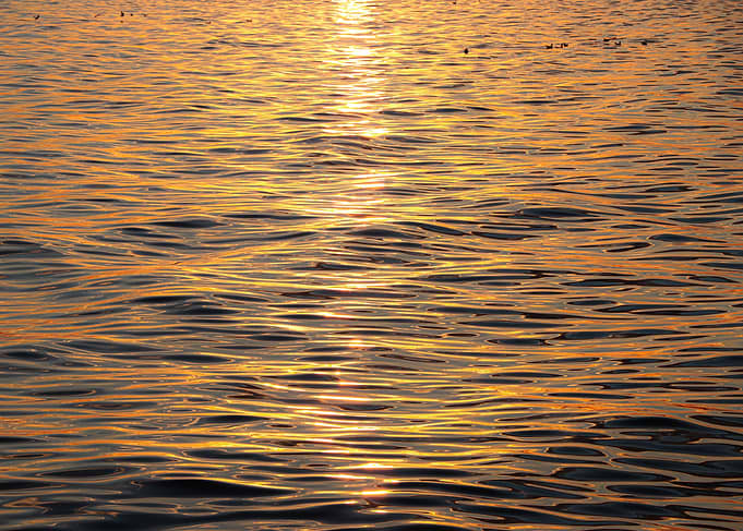 Golden Water Ripples