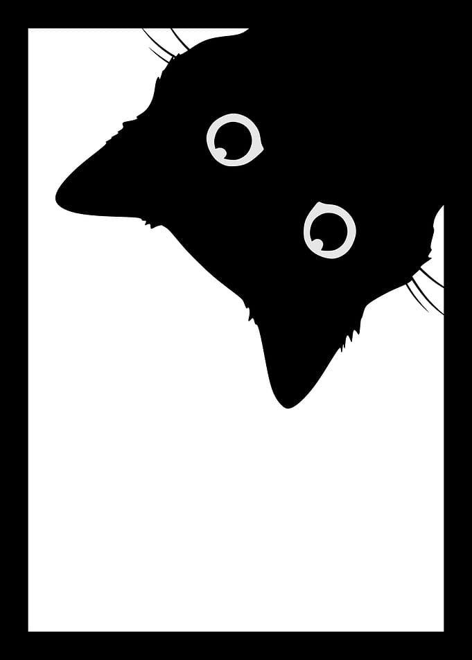 Black Cat Silhouette