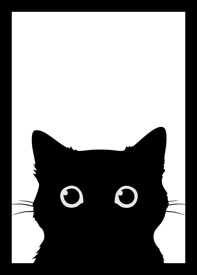 Black Cat Silhouette