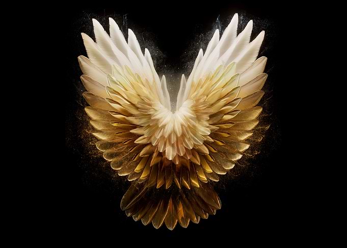Golden Angel Wings
