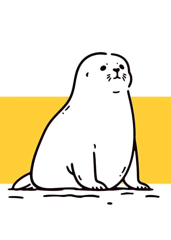 Cute Seal Illustration