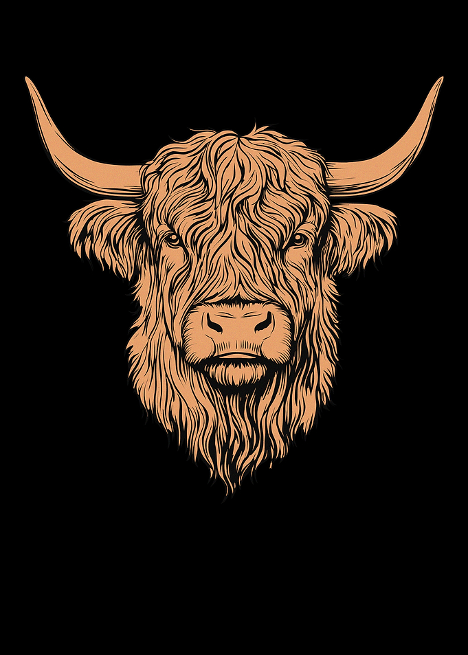 Highland Cow Portrait