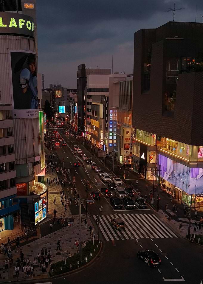 Tokyo Street at Dusk