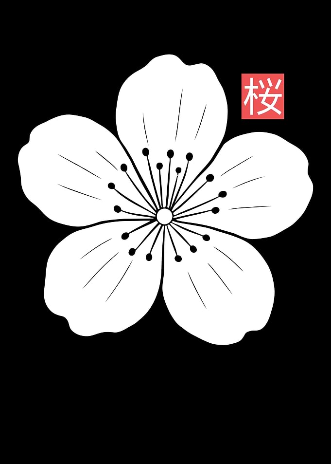 Japanese Cherry Blossom