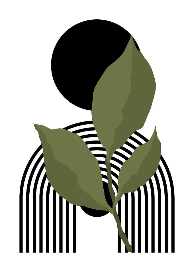 Green Leaves and Black Stripes
