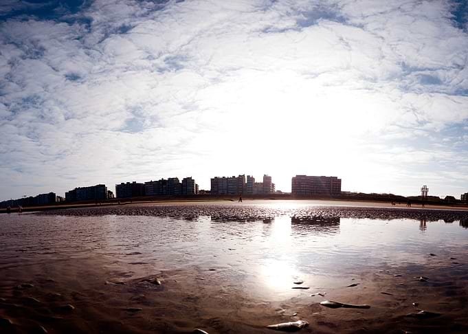 Beachscape with City Skyline