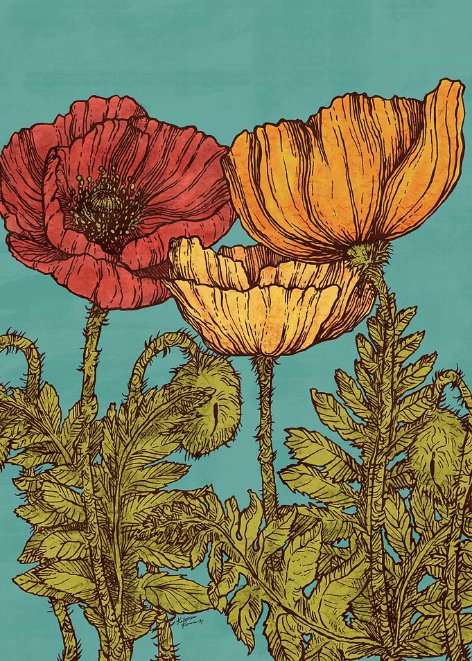POPPIES