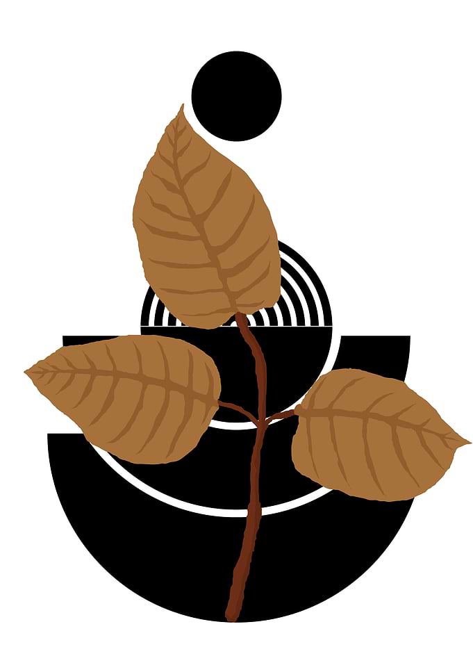Abstract Leaf Art