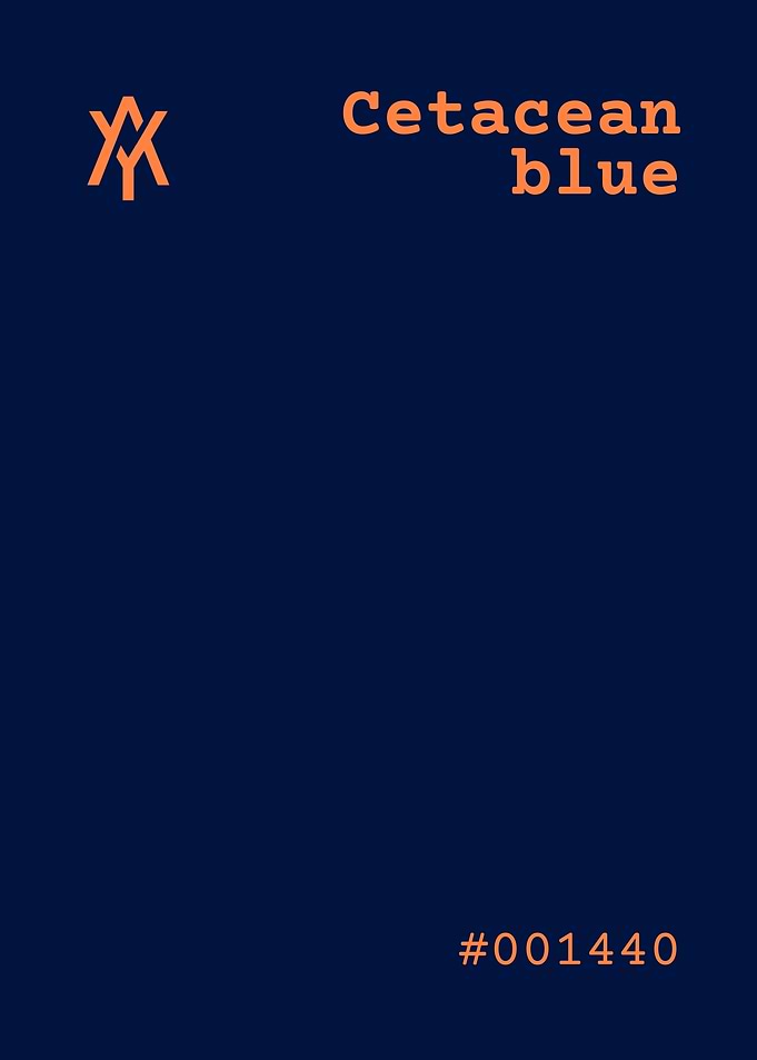 Cetacean Blue Color Palette
