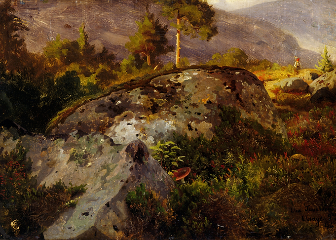 Rocky Mountain Landscape