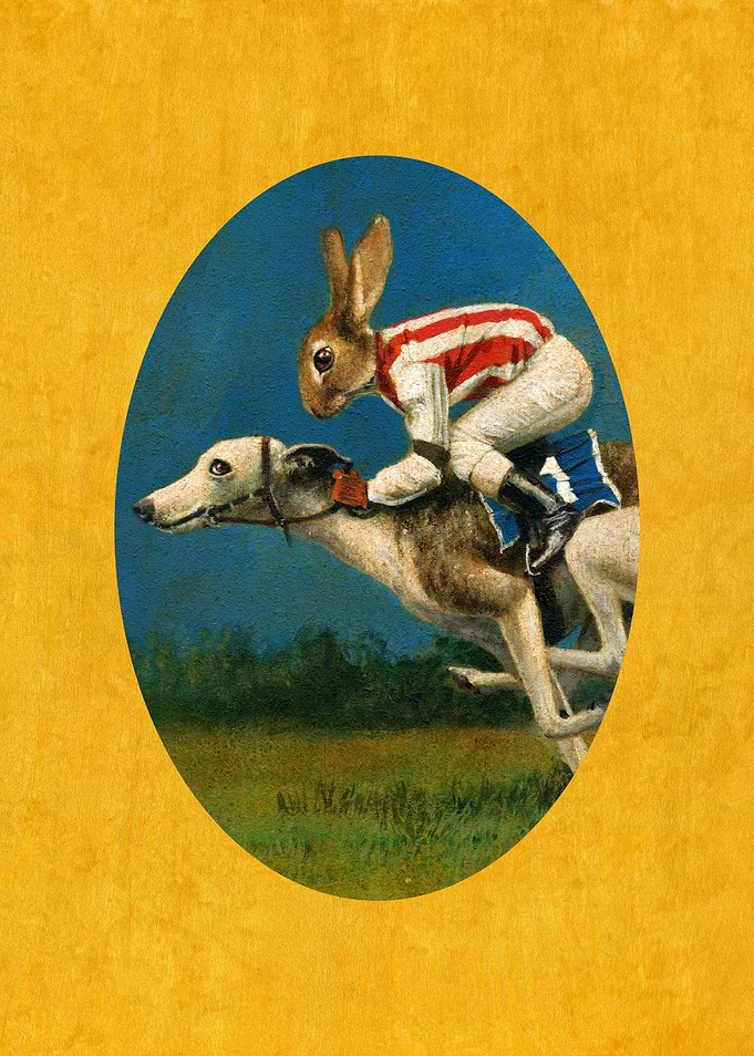 Rabbit Jockey on Greyhound