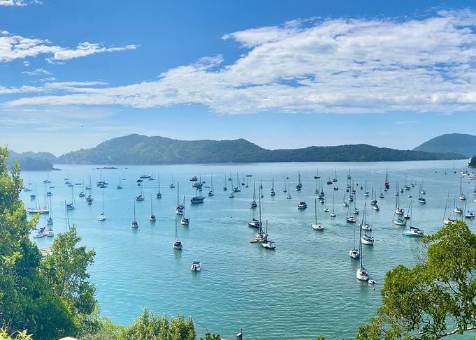 Sailboats in a Bay