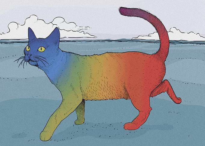 Rainbow Cat