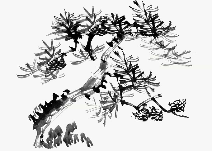 Black Ink Pine Tree