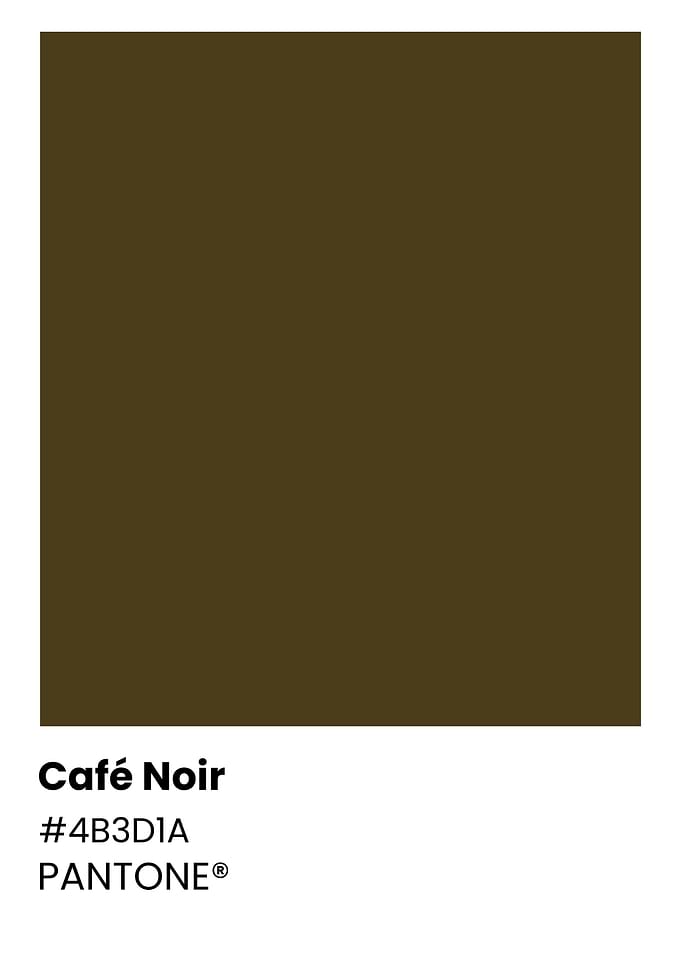 Pantone Color Chart - Café Noir