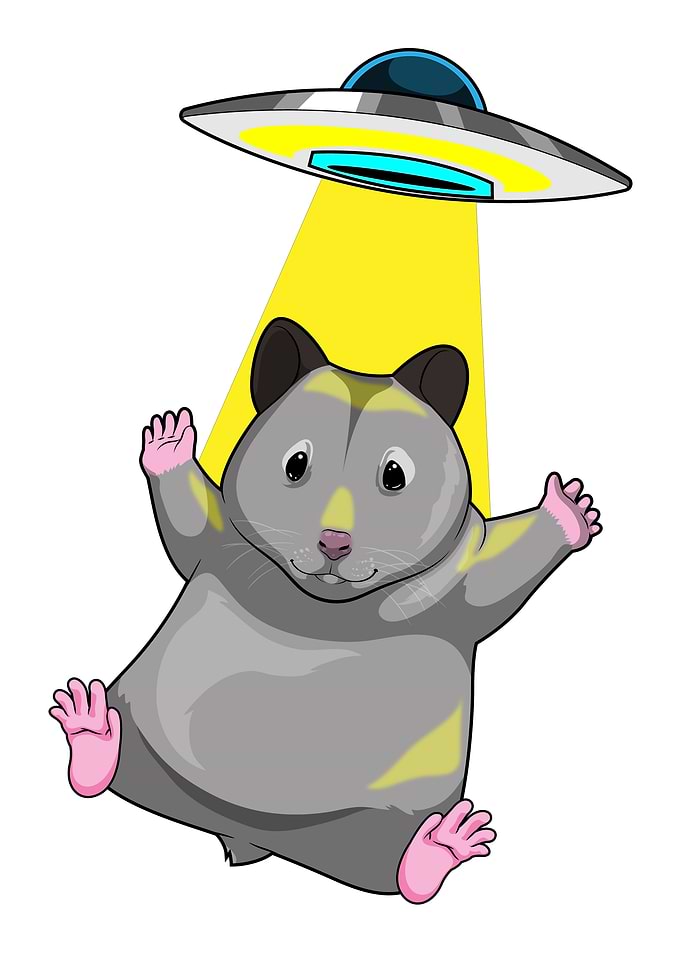 Hamster Spaceship Space