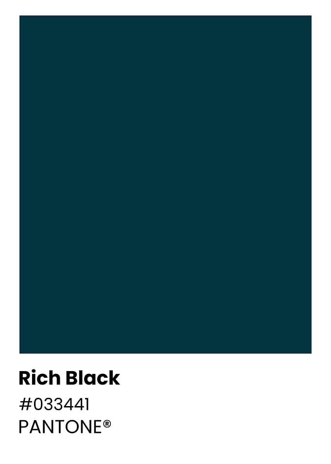 Pantone Rich Black Color Swatch