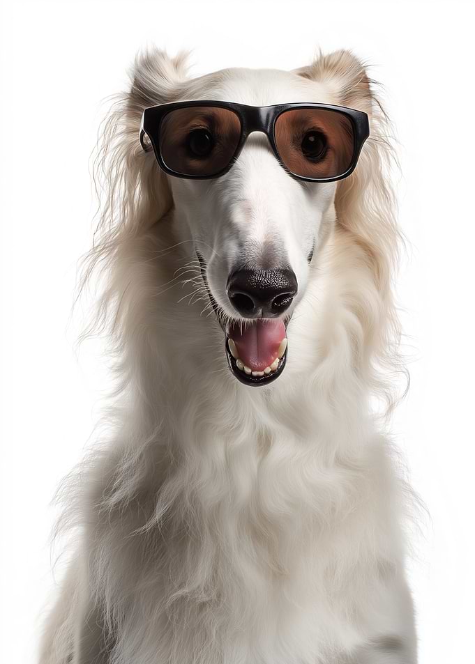 Cool Borzoi Dog in Sunglasses