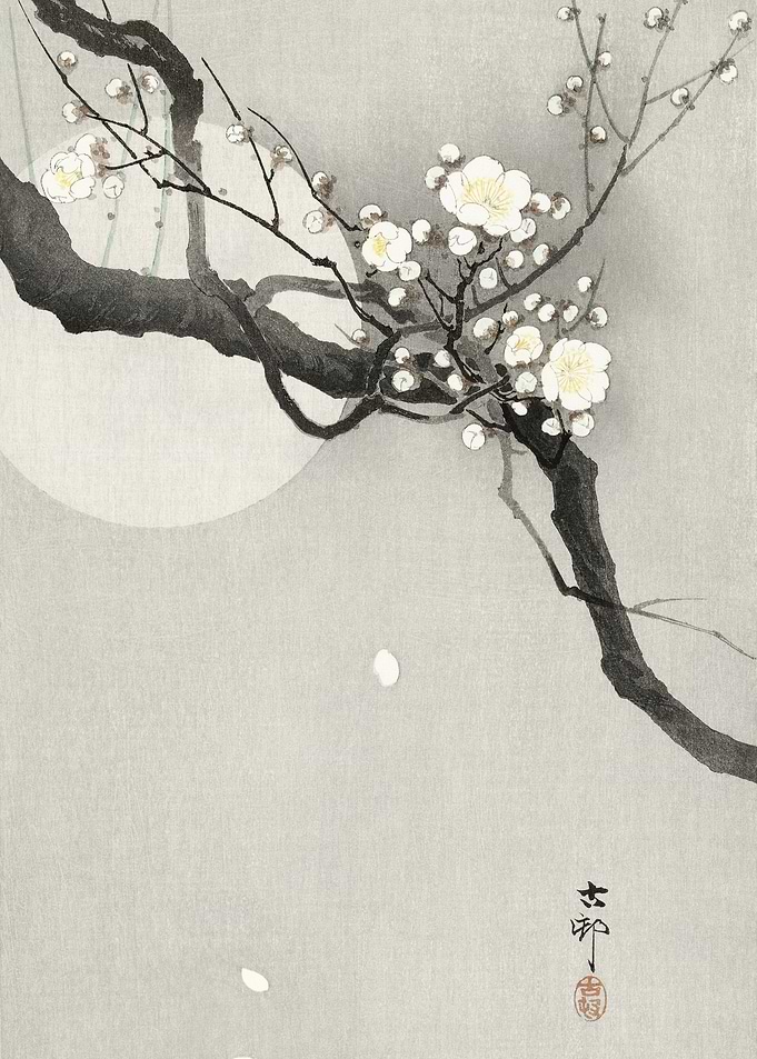 Plum Blossom Branch with Moon