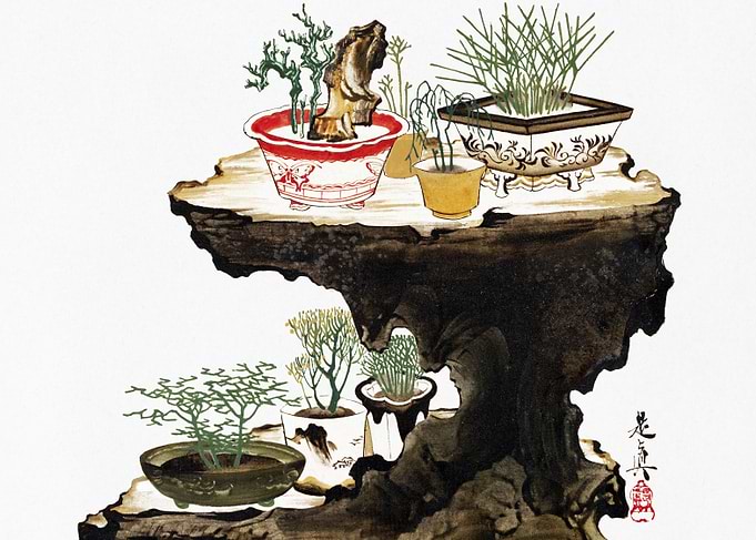 Bonsai on Rock