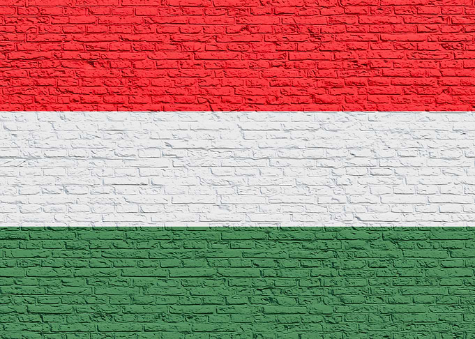 Hungarian Flag Brick Wall - Hungary