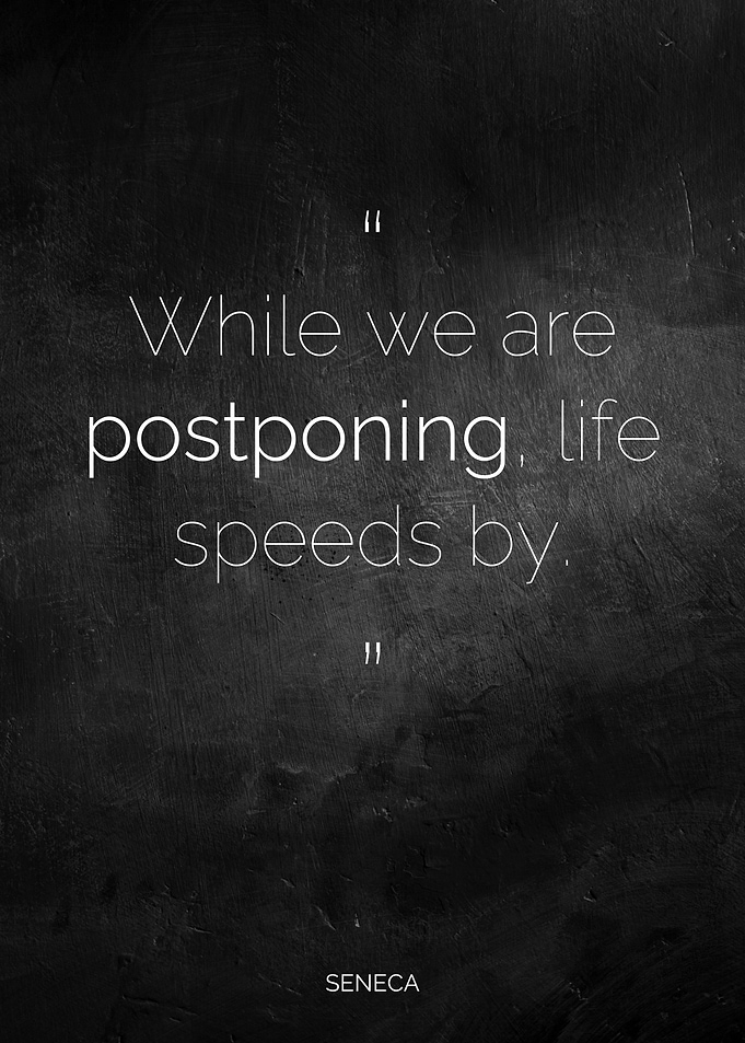 Seneca Quote - Life Speeds By