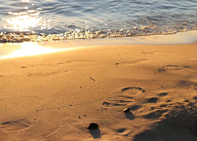 Footprints in the Sand
